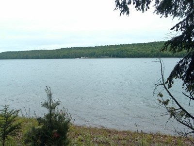 View Details